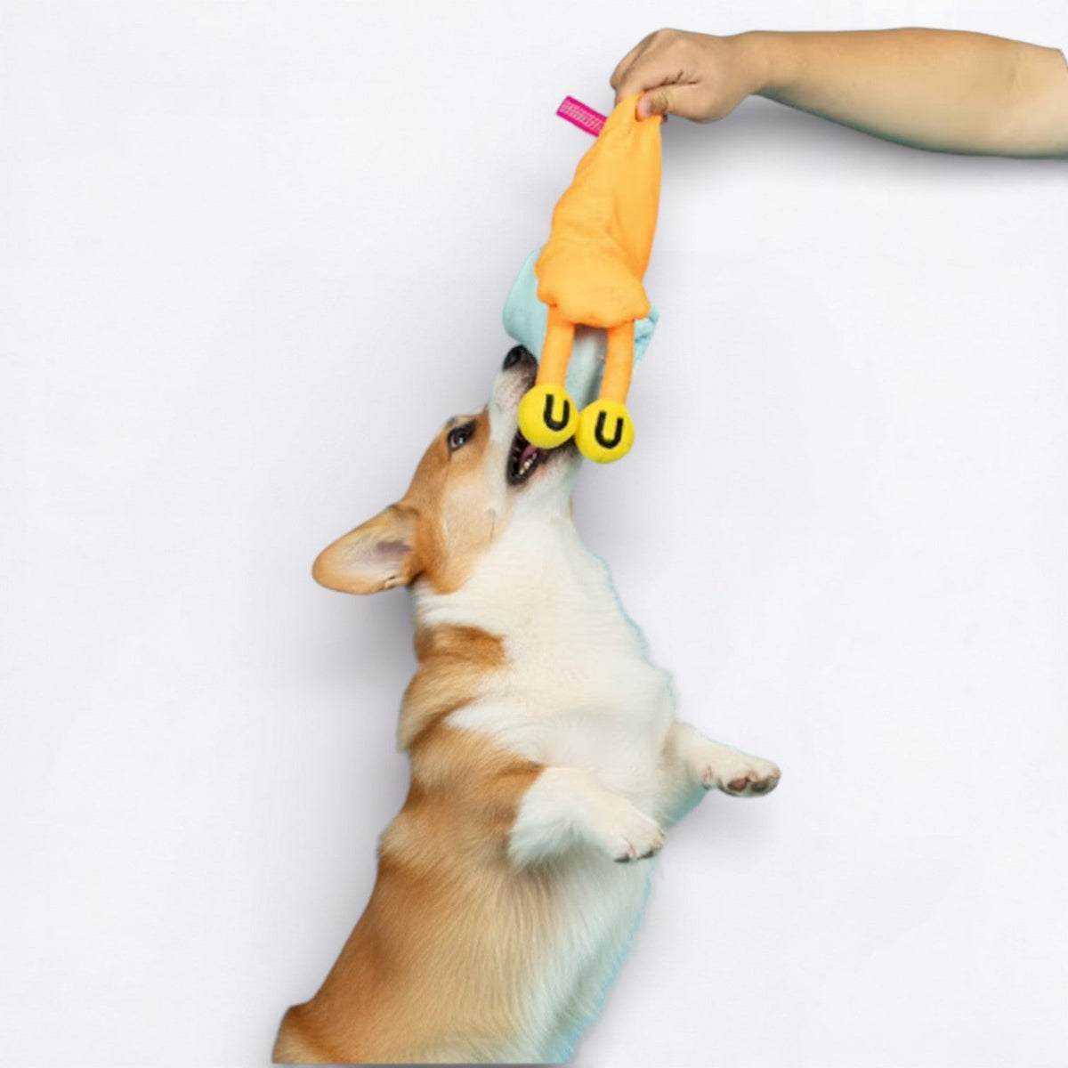 Plush-Snail-Snuffle-Dog-Toy.jpg