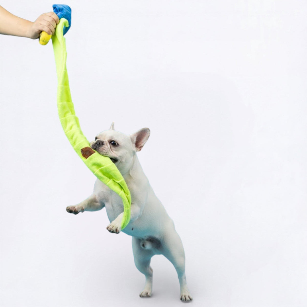Plush-Snail-Snuffle-Dog-Toy.jpg