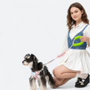 Breathable dog chest harness and leash set