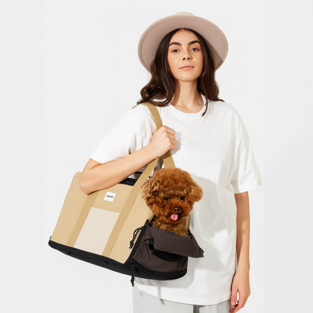 Portable Car Safety Seat Iggy Carrier