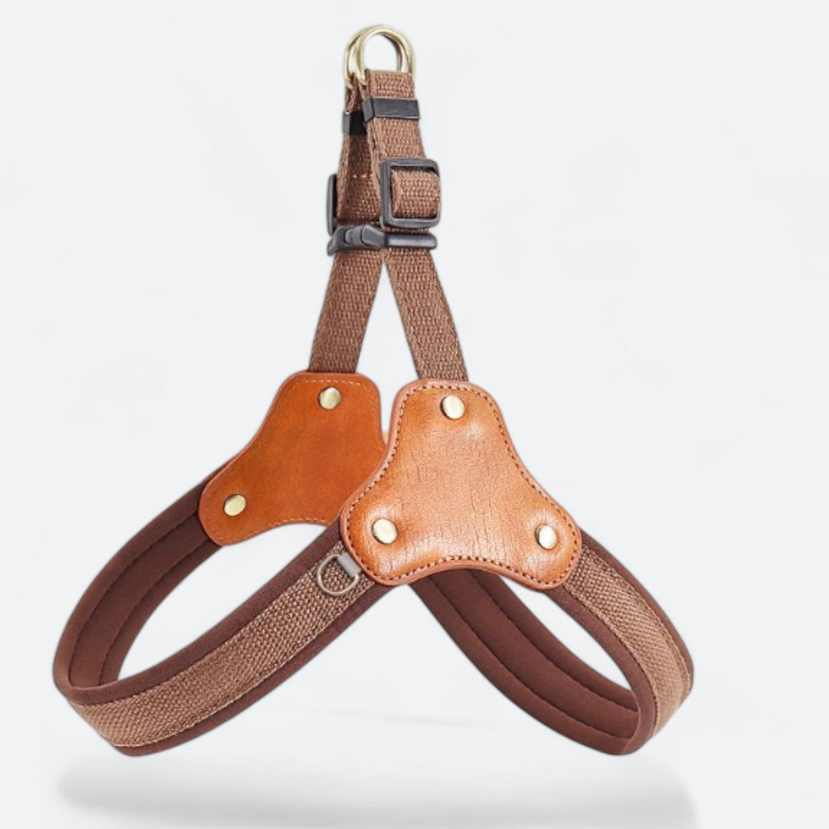 Premium dog harness and leash set