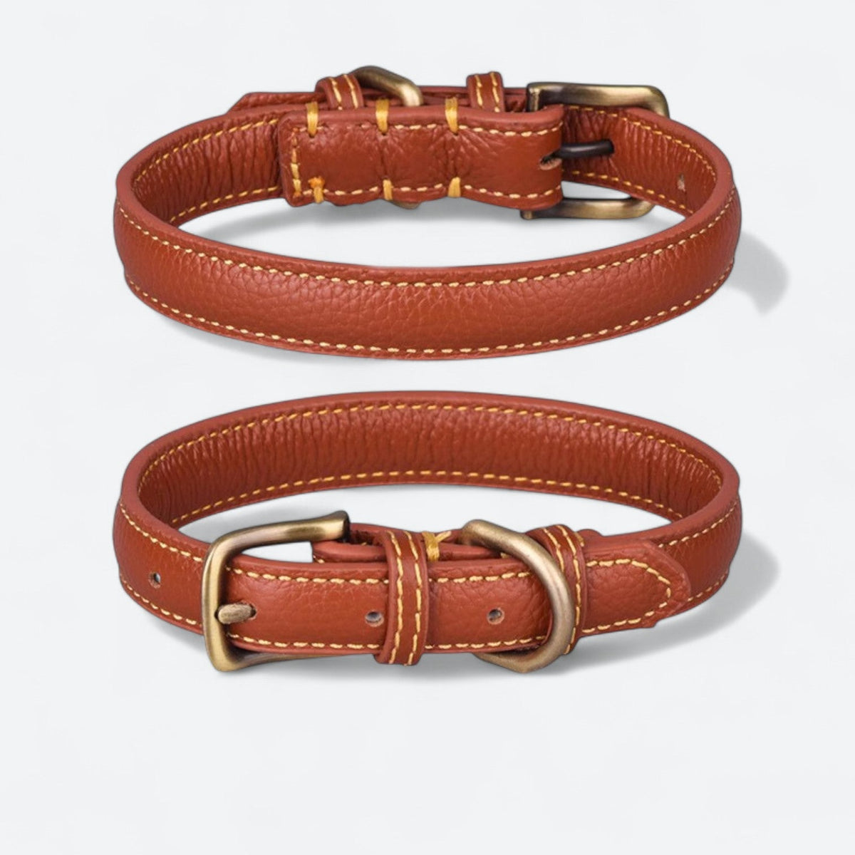 Premium grain leather dog collar