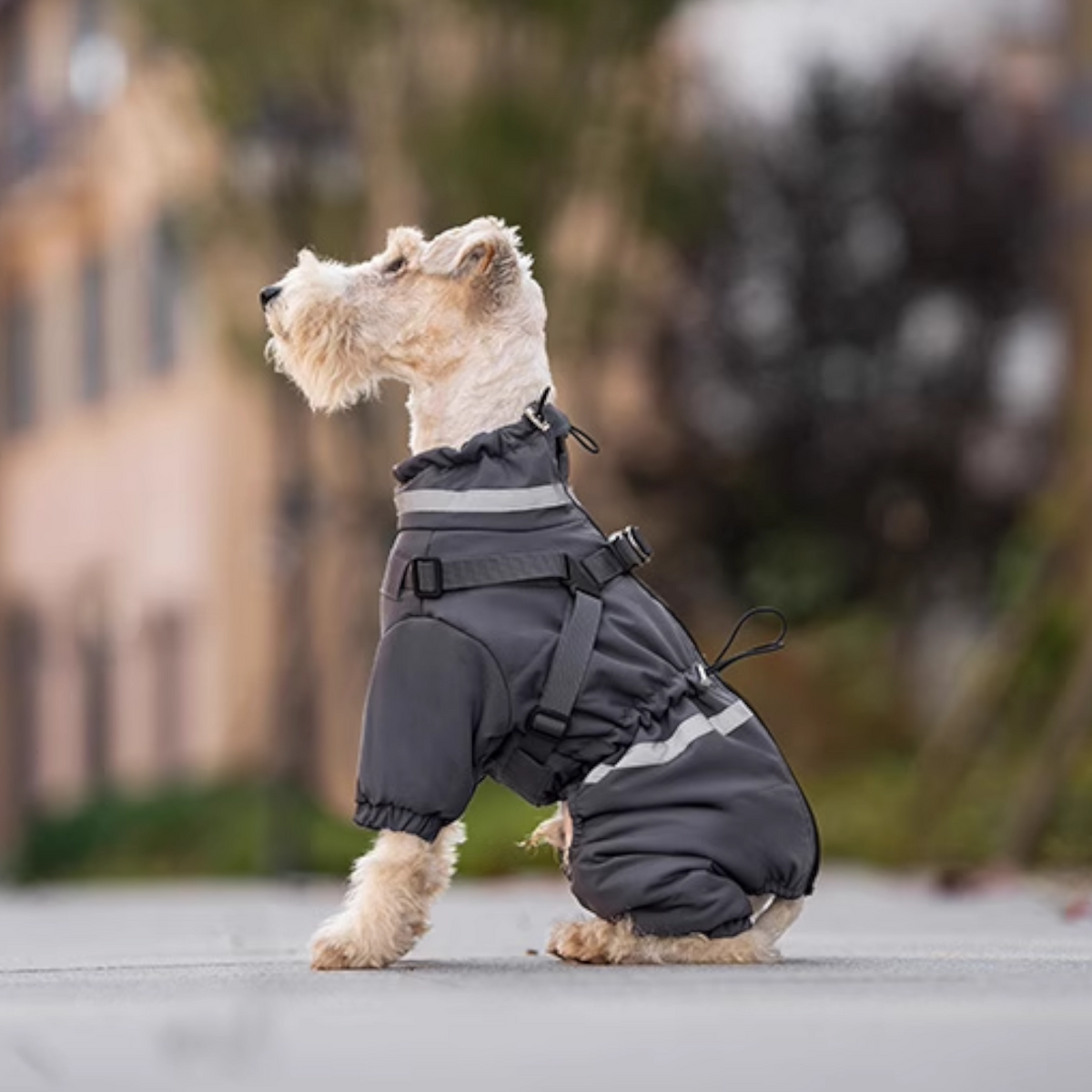 Premium-Reflective-Dog-Down-Jacket.jpg