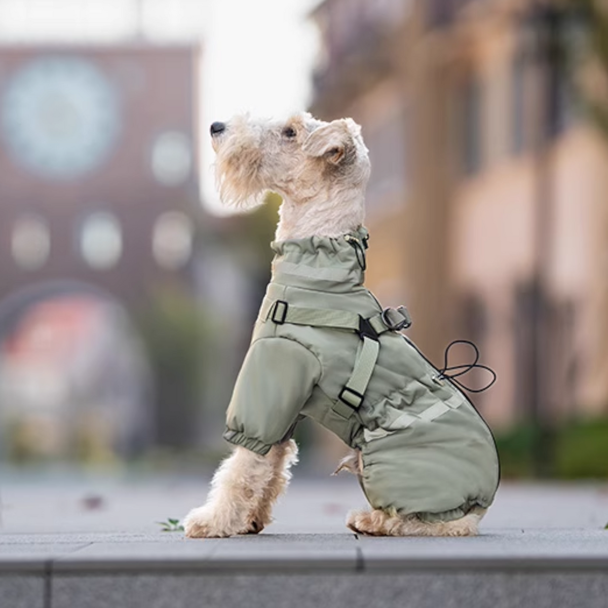 Premium-Reflective-Dog-Down-Jacket.jpg