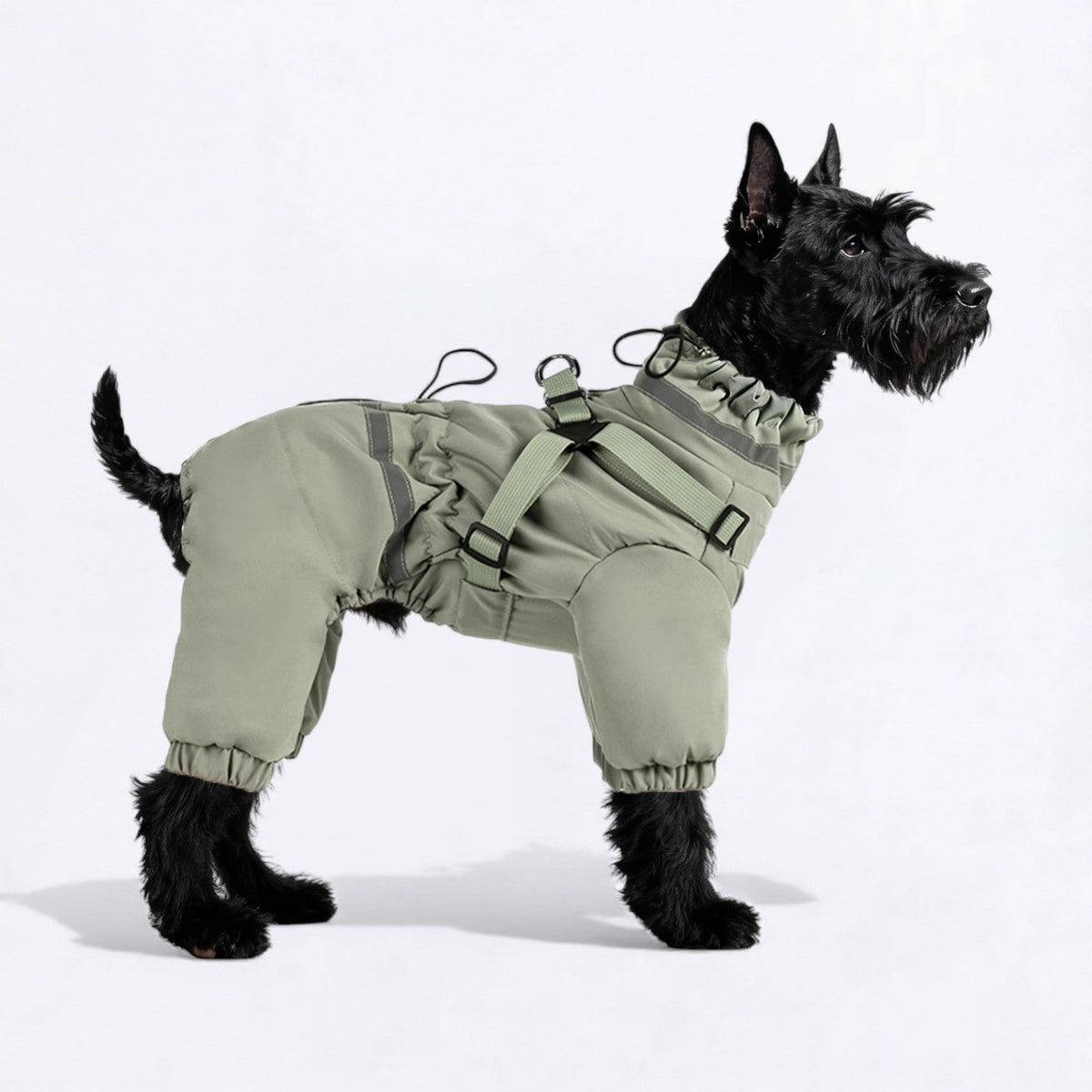 Premium-Reflective-Dog-Down-Jacket.jpg