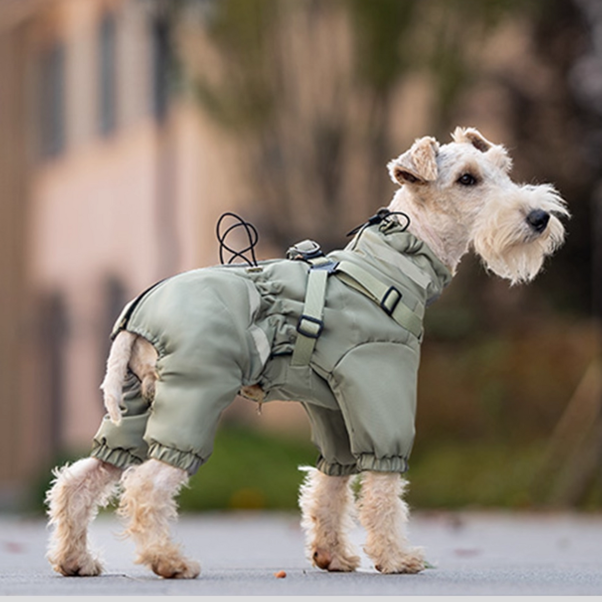 Premium-Reflective-Dog-Down-Jacket.jpg
