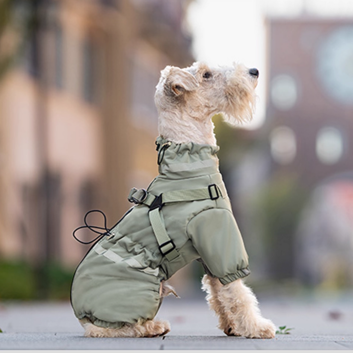 Premium-Reflective-Dog-Down-Jacket.jpg