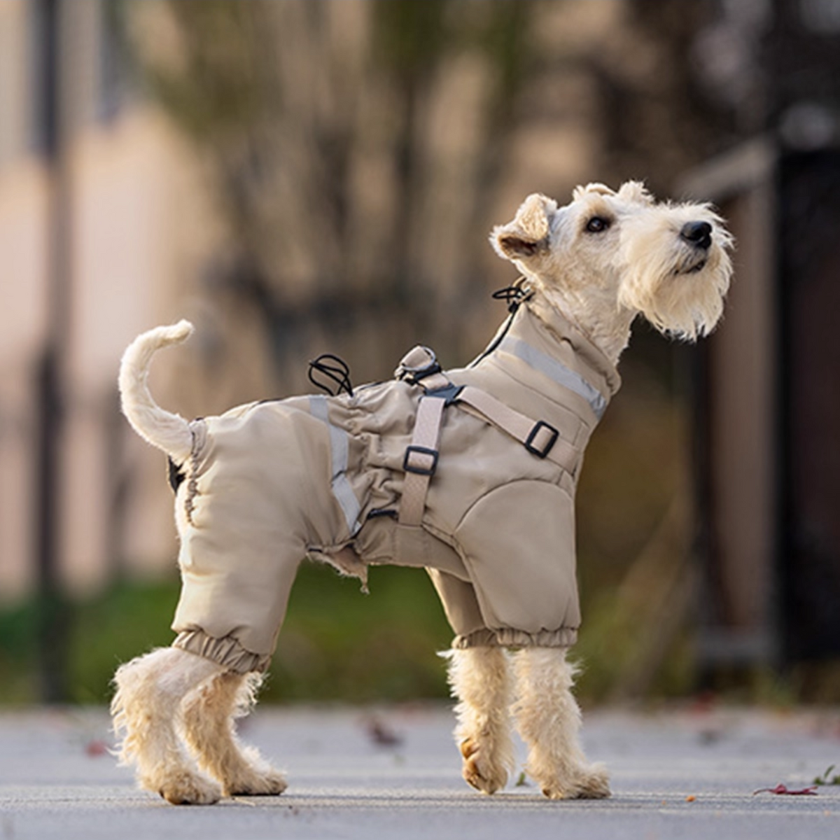 Premium-Reflective-Dog-Down-Jacket.jpg