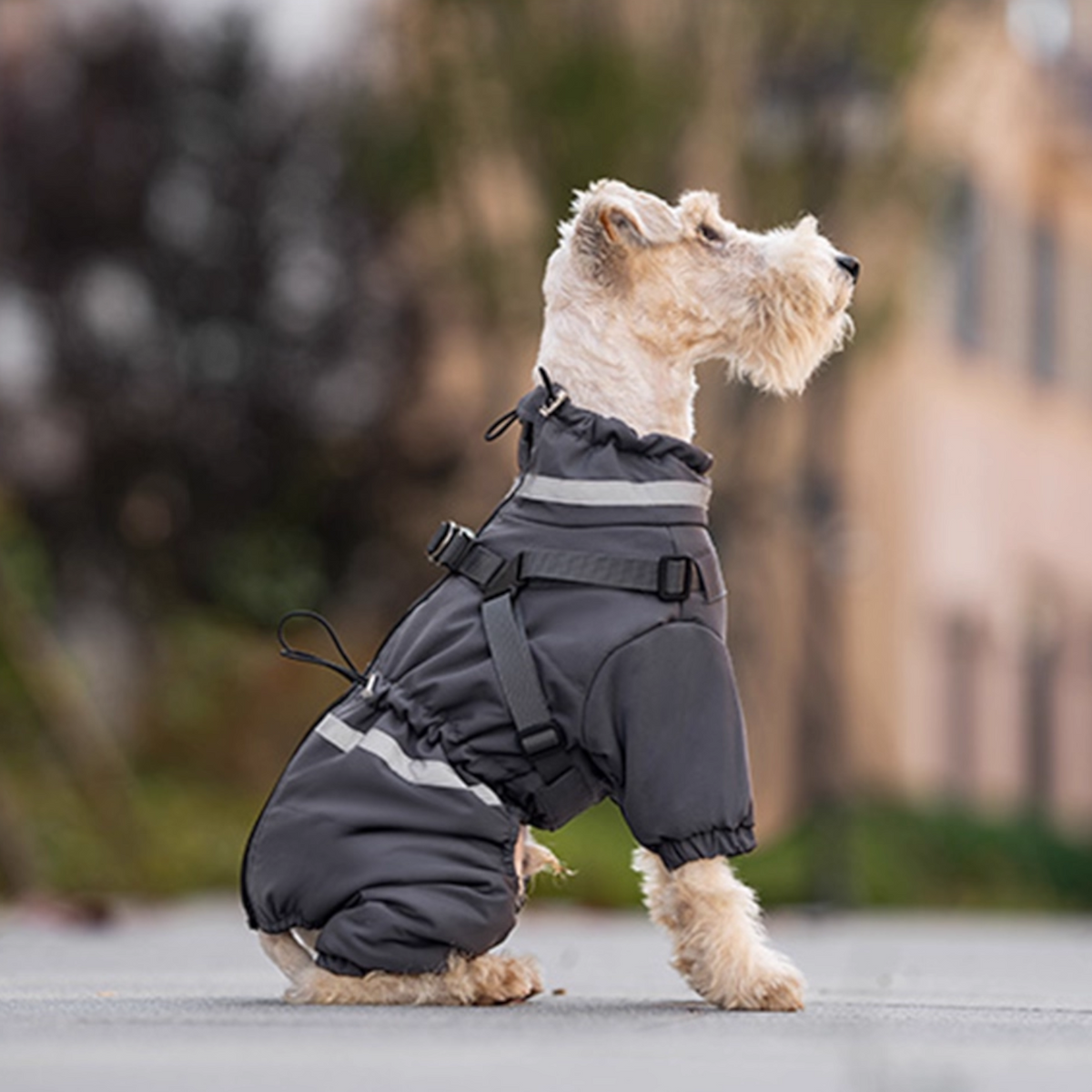 Premium-Reflective-Dog-Down-Jacket.jpg