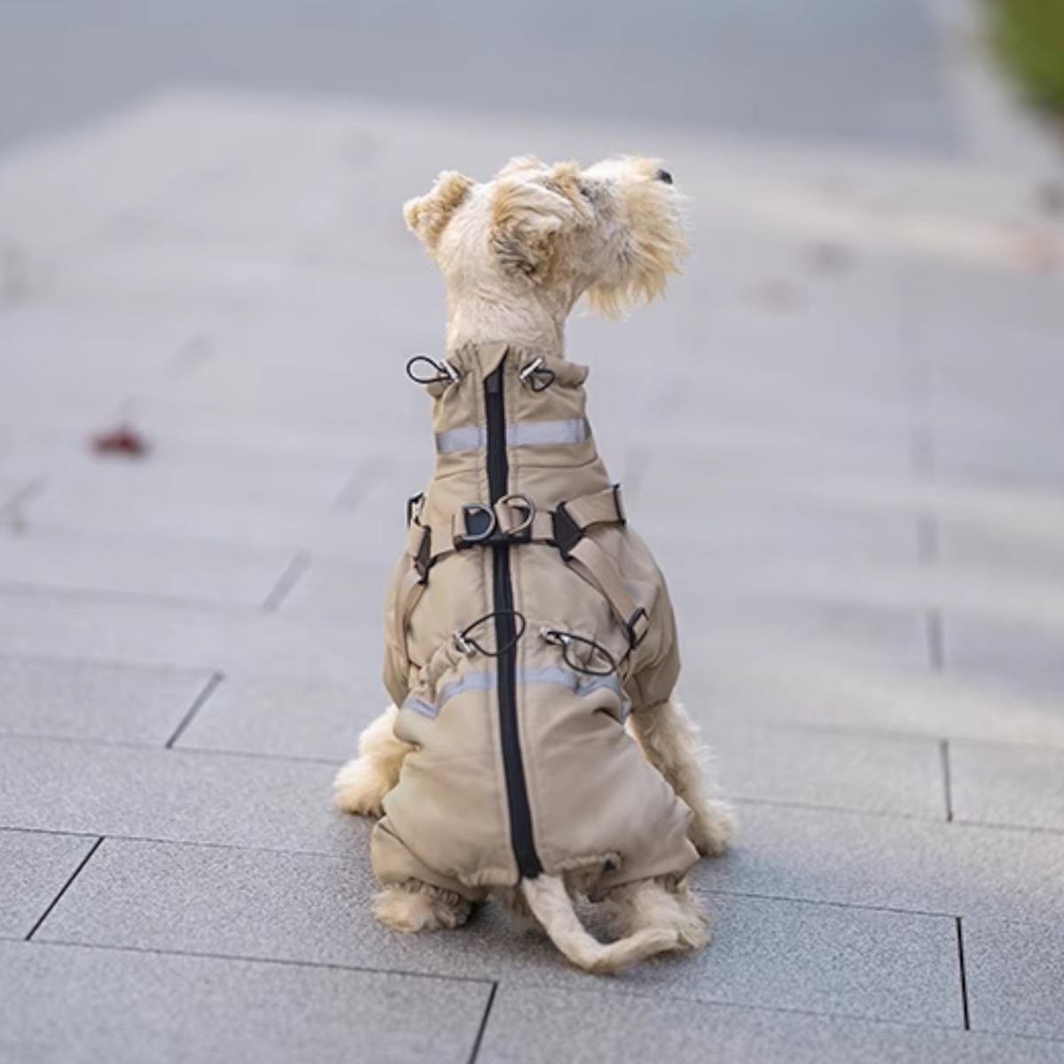 Premium-Reflective-Dog-Down-Jacket.jpg