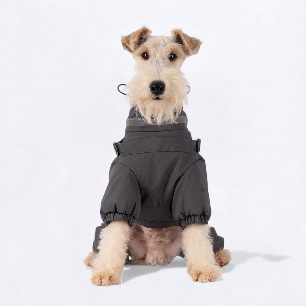 Premium-Reflective-Dog-Down-Jacket.jpg