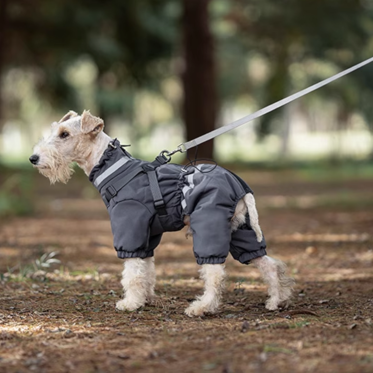 Premium-Reflective-Dog-Down-Jacket.jpg
