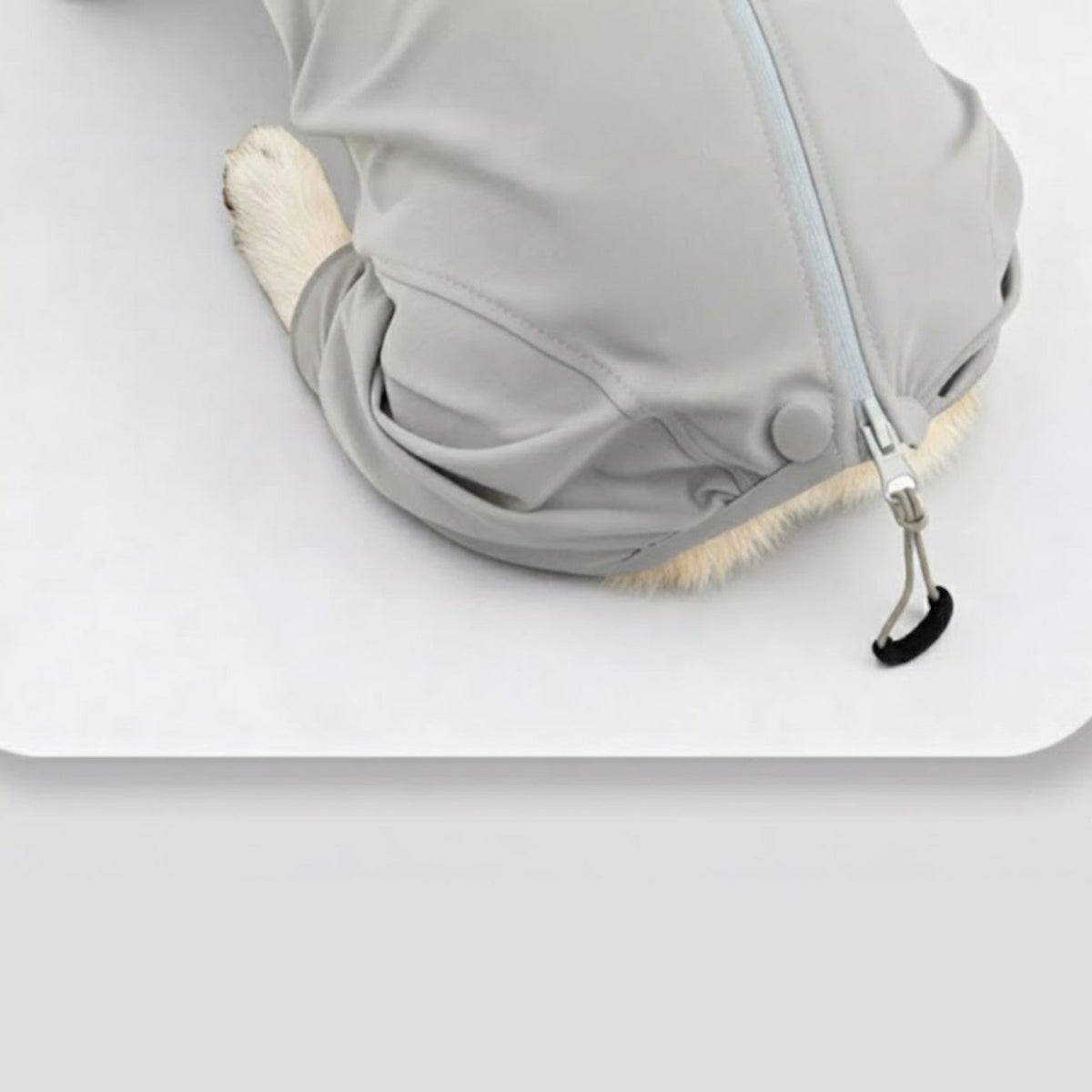 Premium-Waterproof-Outdoor-Dog-Jacket.jpg