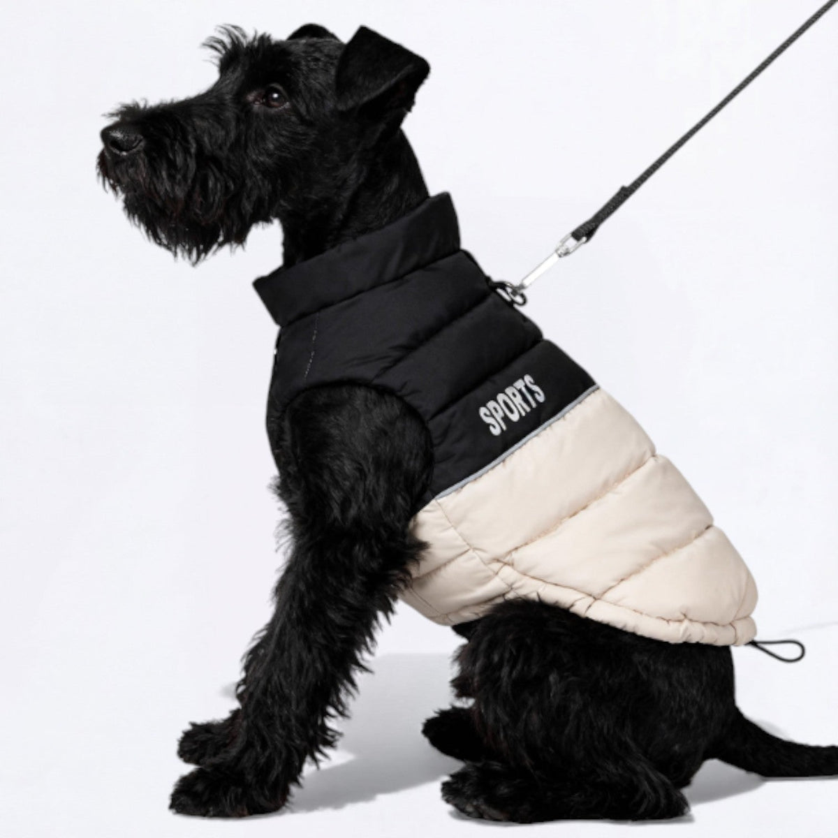 Premium-Winter-Sports-Dog-Vest.jpg