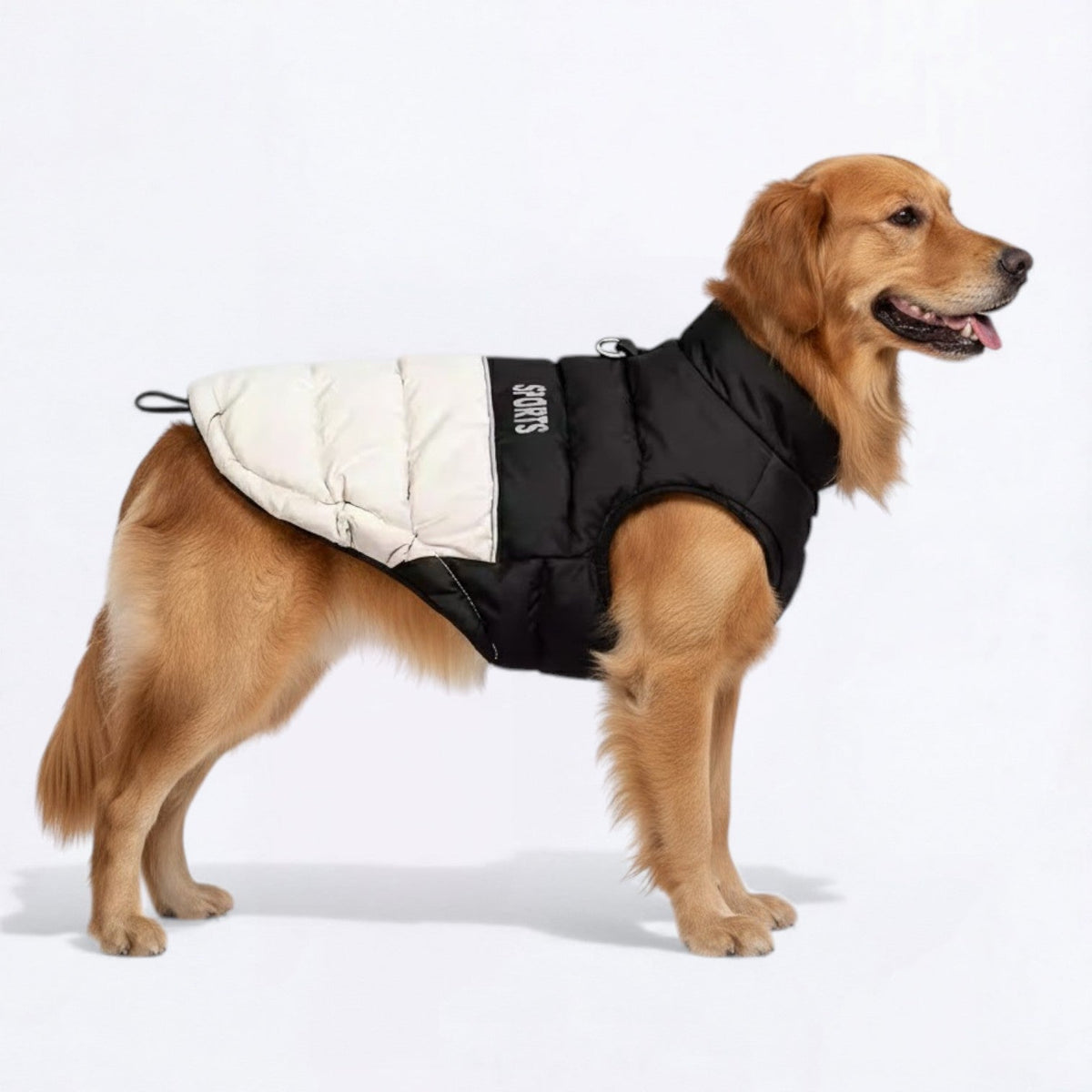 Premium-Winter-Sports-Dog-Vest.jpg