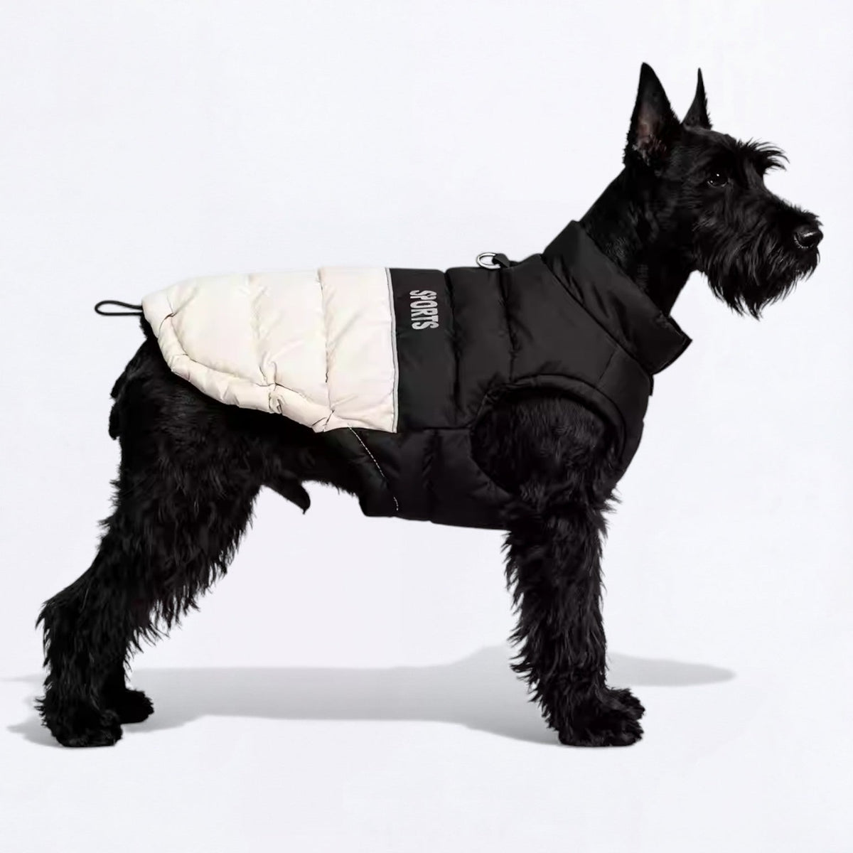 Premium-Winter-Sports-Dog-Vest.jpg