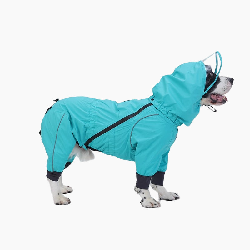 Dog wearing a fully rubberized waterproof raincoat