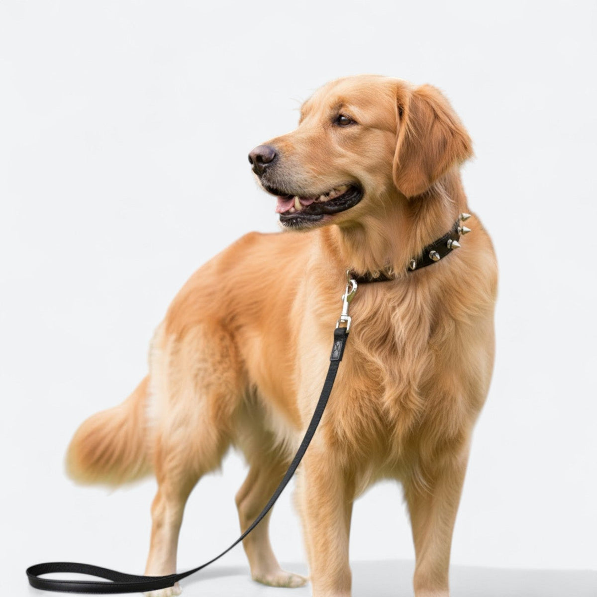 Punk-Style-Dog-Collar-Leash-Set.jpg