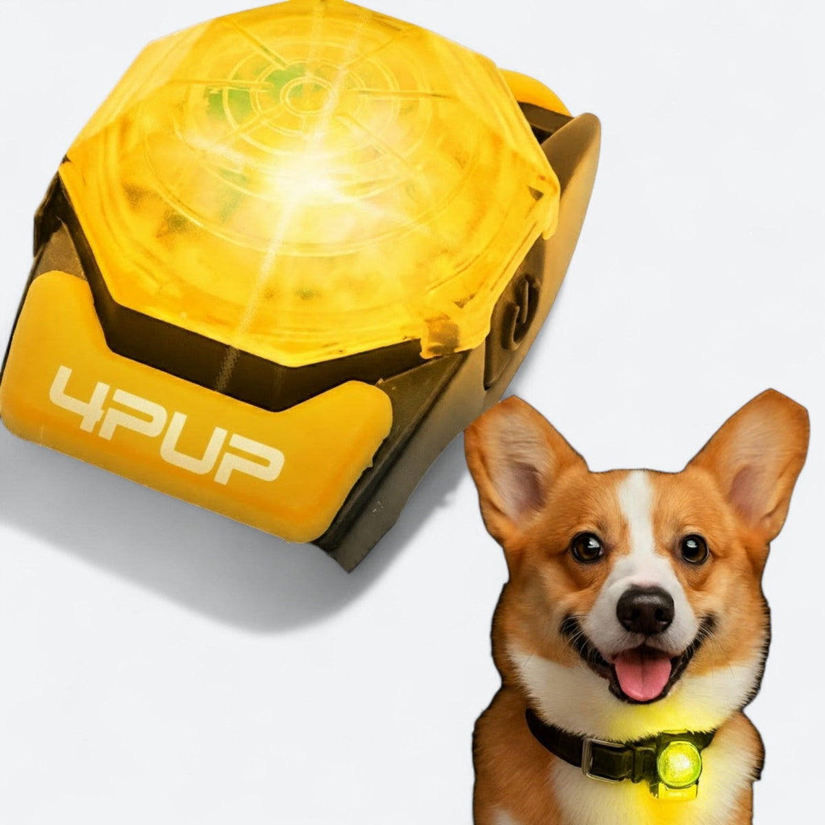 Rechargeable LED dog walking collar