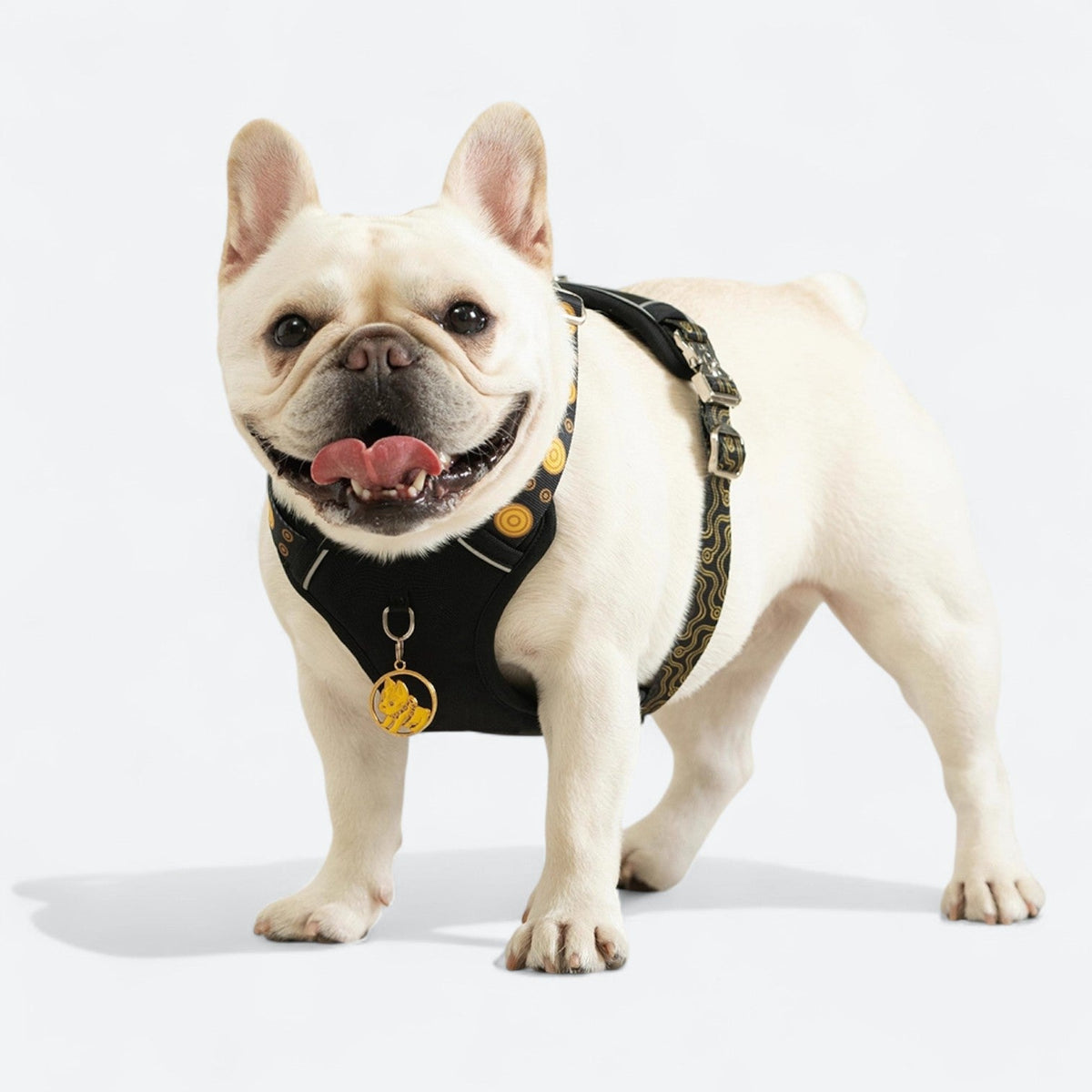 Reflective dog harness set with leash and collar
