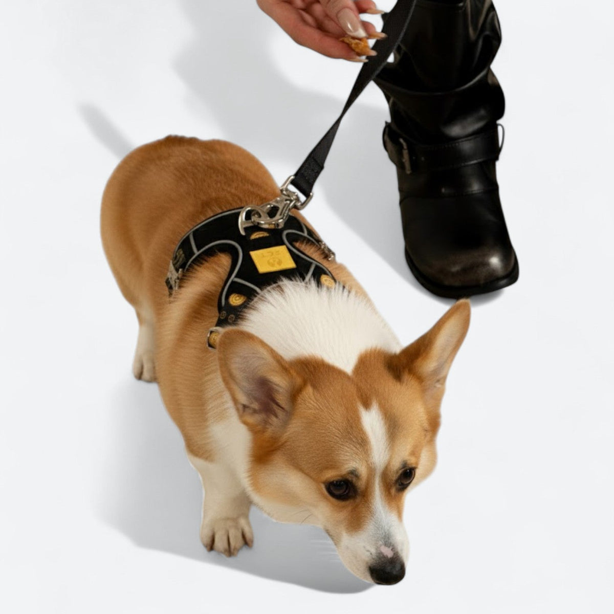 Reflective-Dog-Harness-Set-with-Leash-Collar.jpg