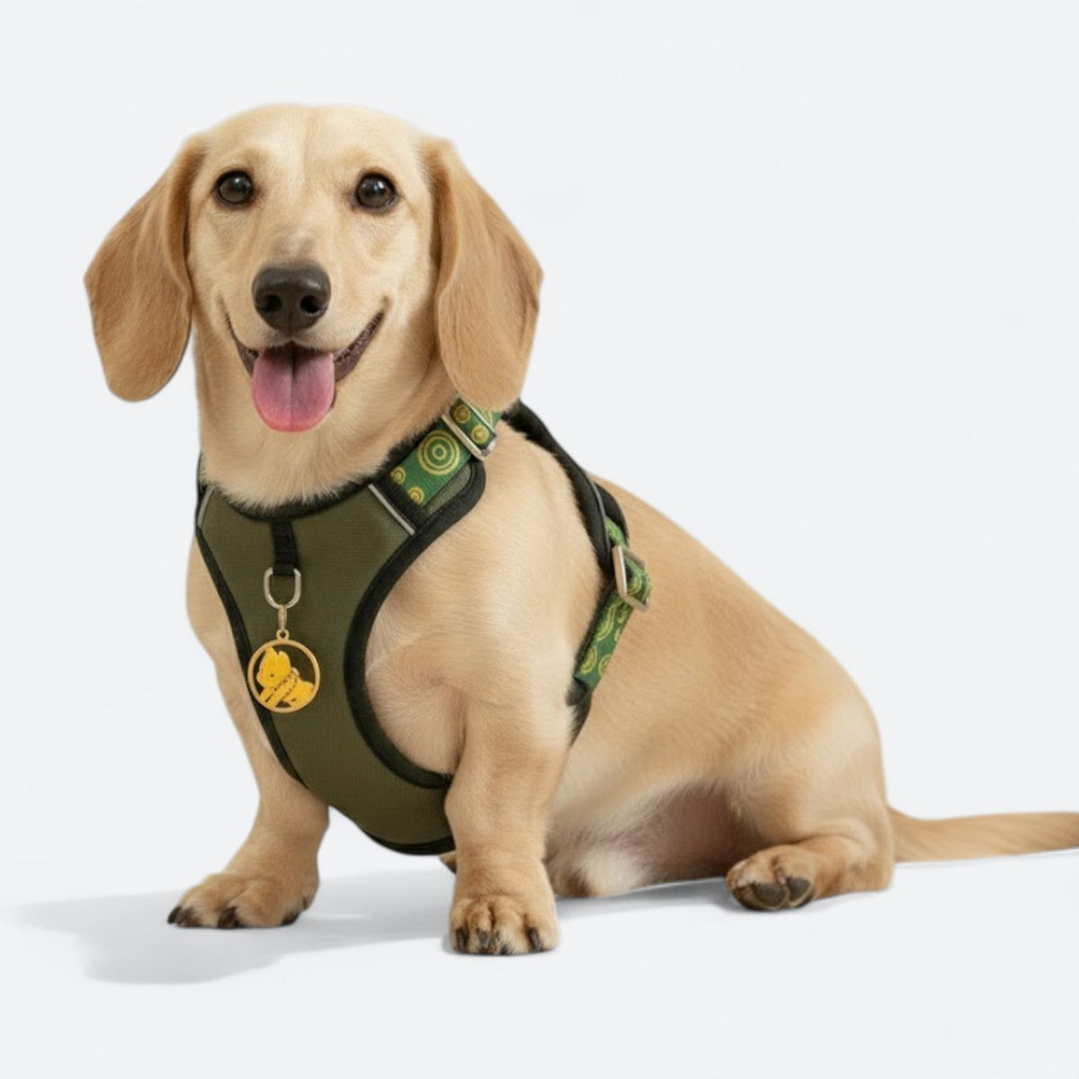 Reflective-Dog-Harness-Set-with-Leash-Collar.jpg