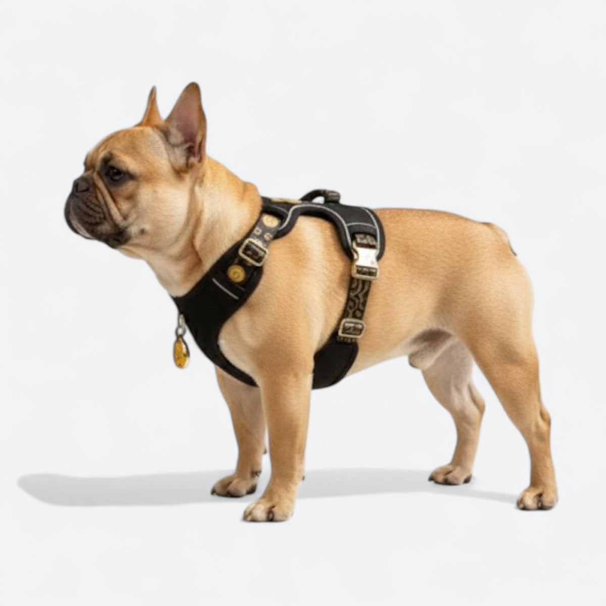 Reflective-Dog-Harness-Set-with-Leash-Collar.jpg