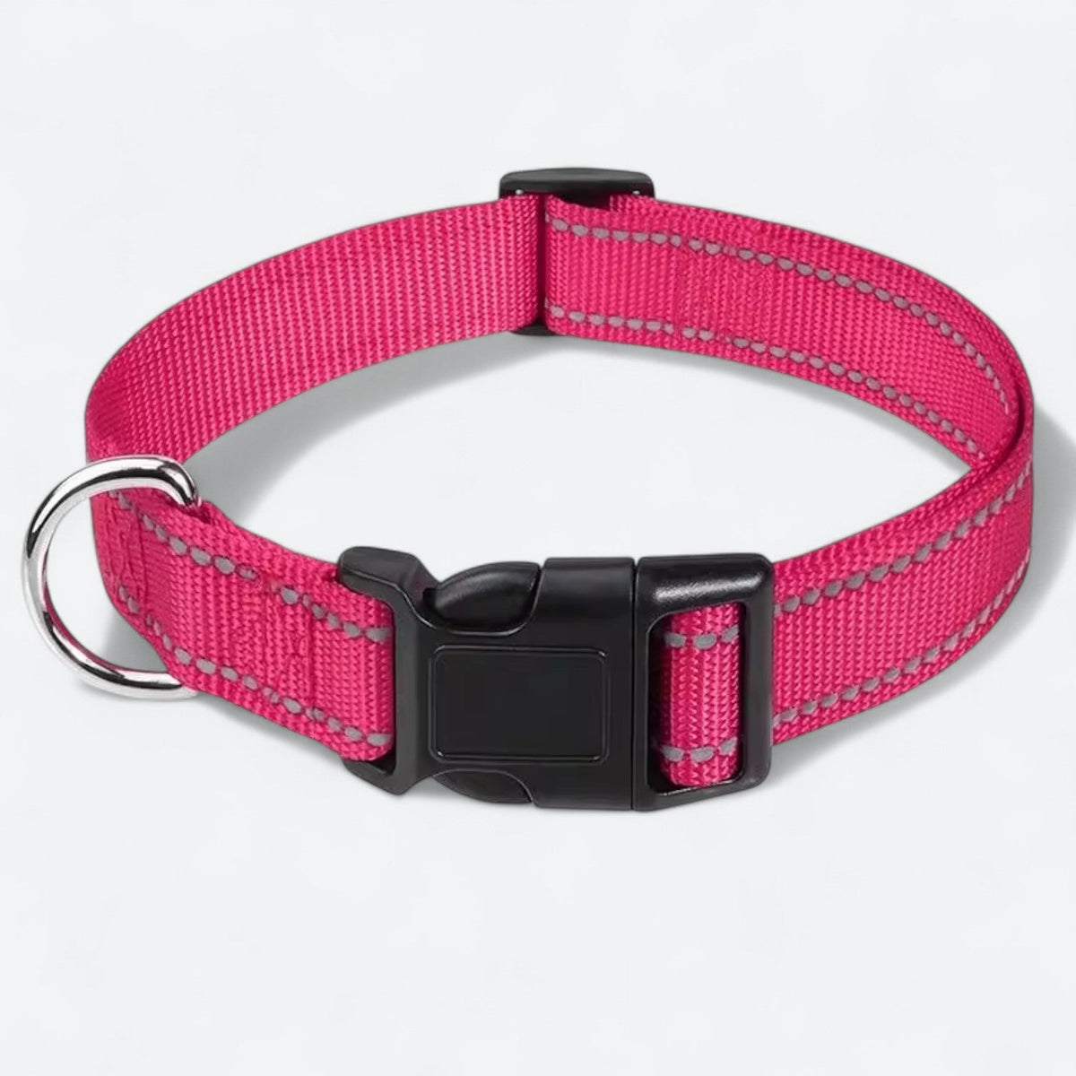 Reflective adjustable nylon dog collar