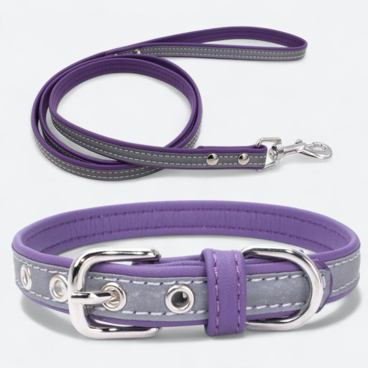 Reflective dog collar and leash set