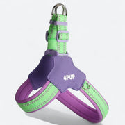 Reflective dog harness and leash set