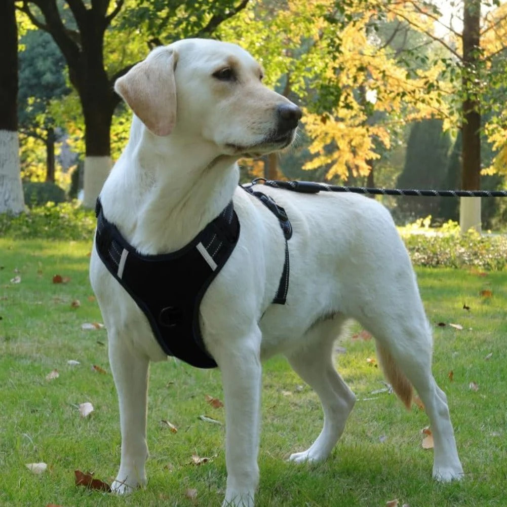 Reflective-Dog-Harness-Leash-Set-with-Handle.jpg