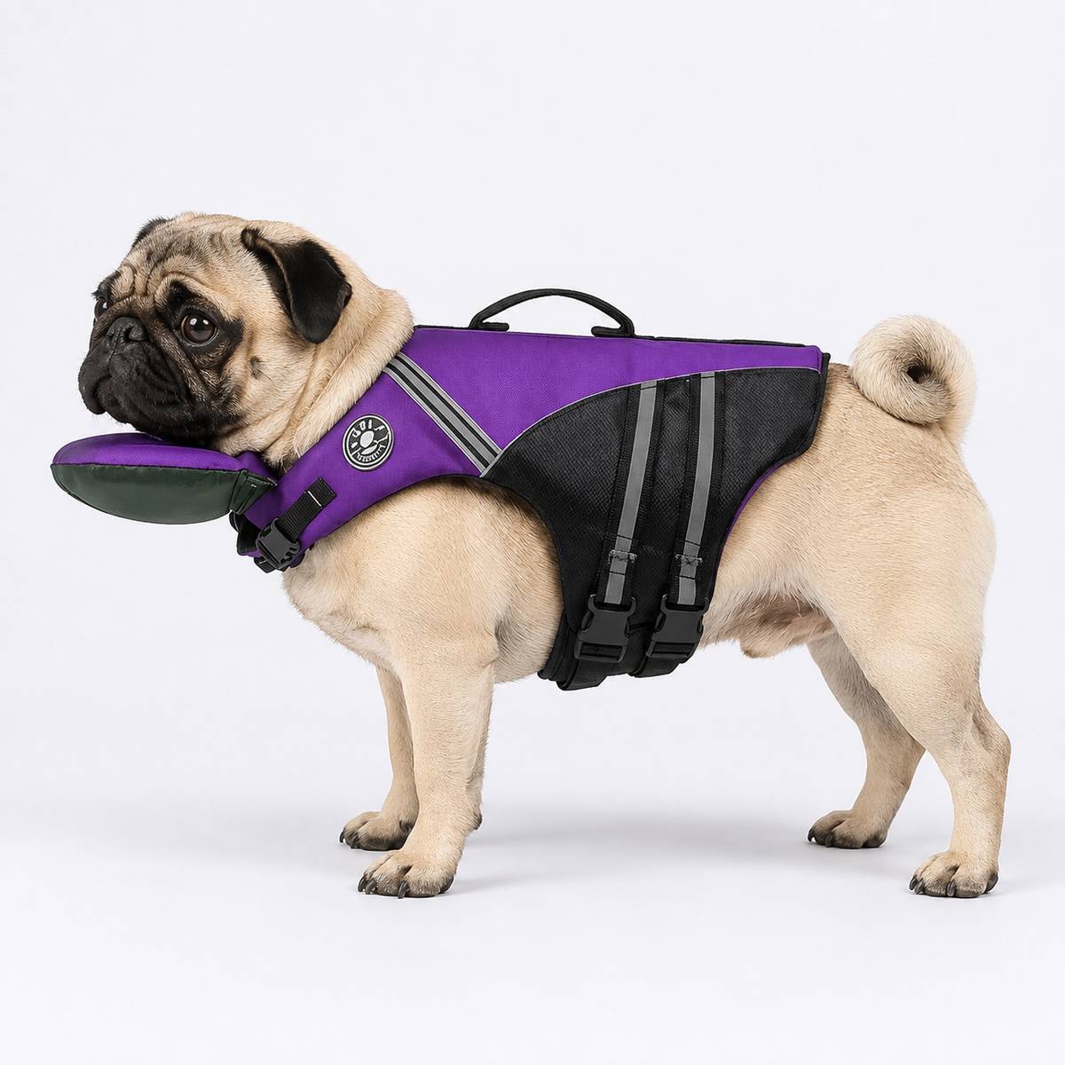 Reflective-Dog-Life-Vest.jpg