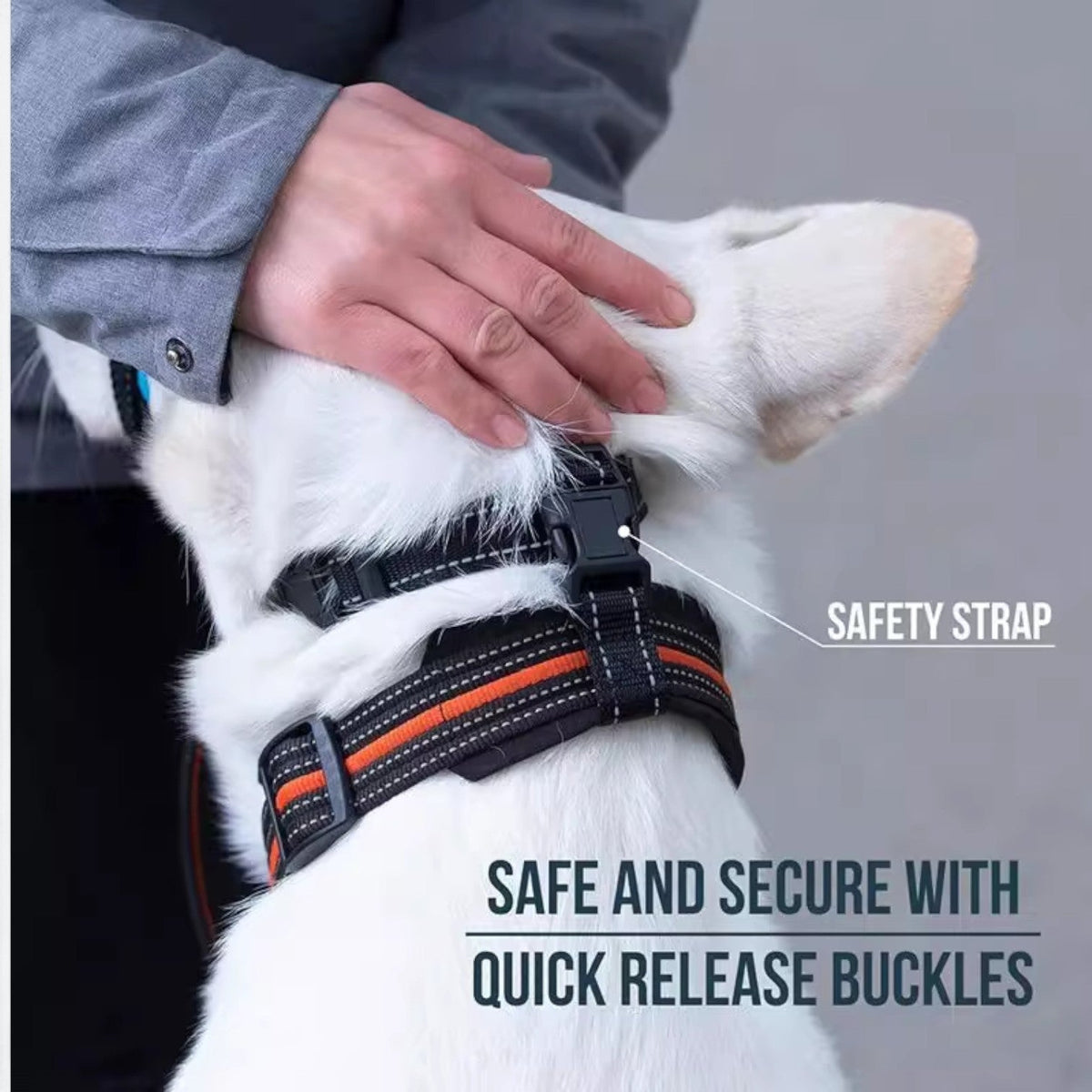 Reflective-Dog-Mouth-Muzzle-with-Collar.jpg