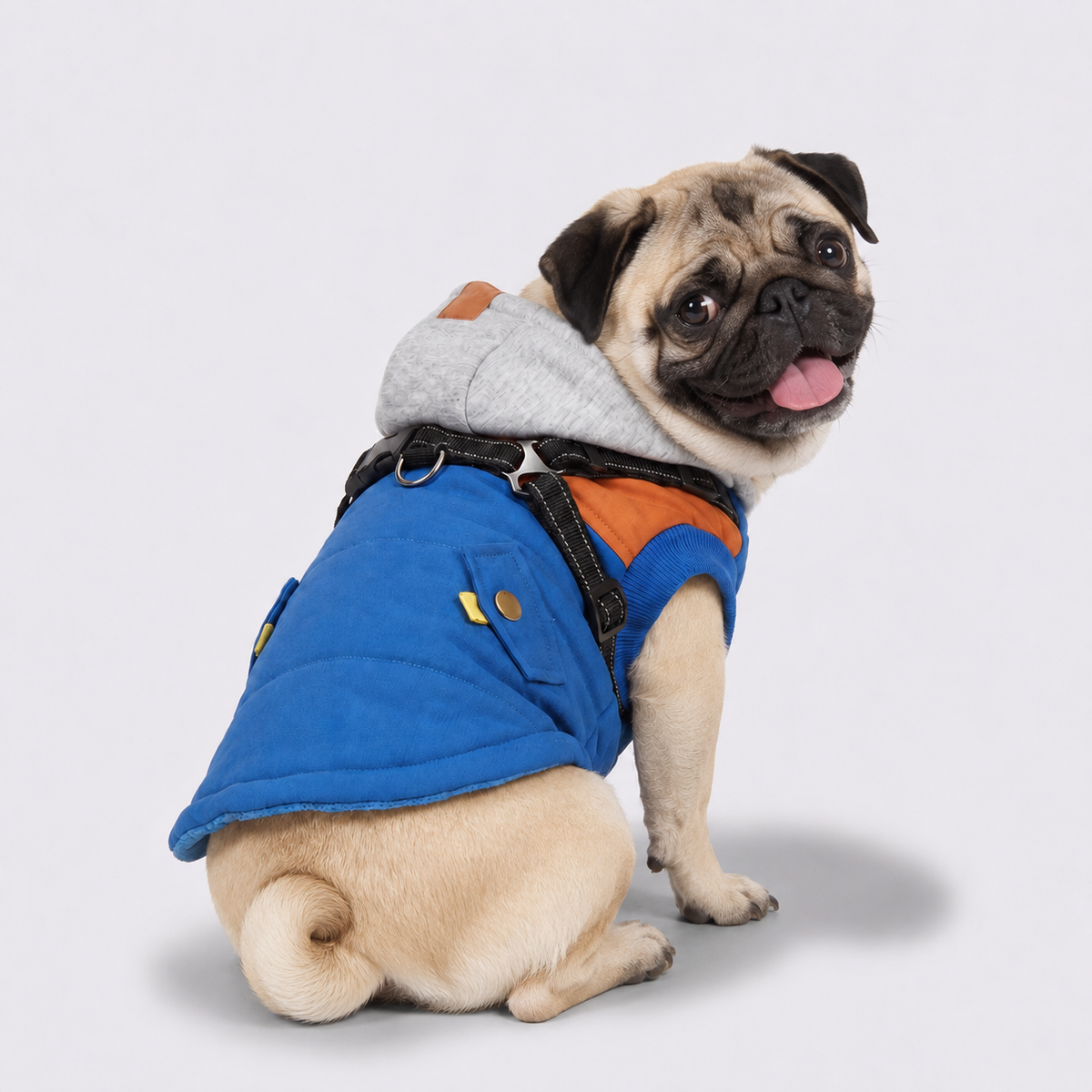 Reflective-Dog-Winter-Coat.jpg
