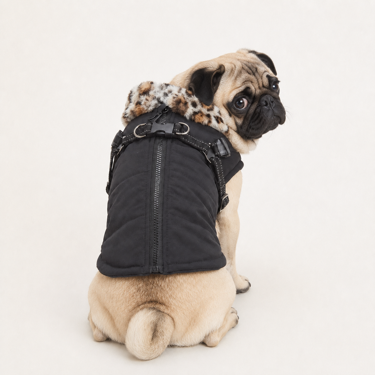 Reflective-Dog-Winter-Coat.jpg