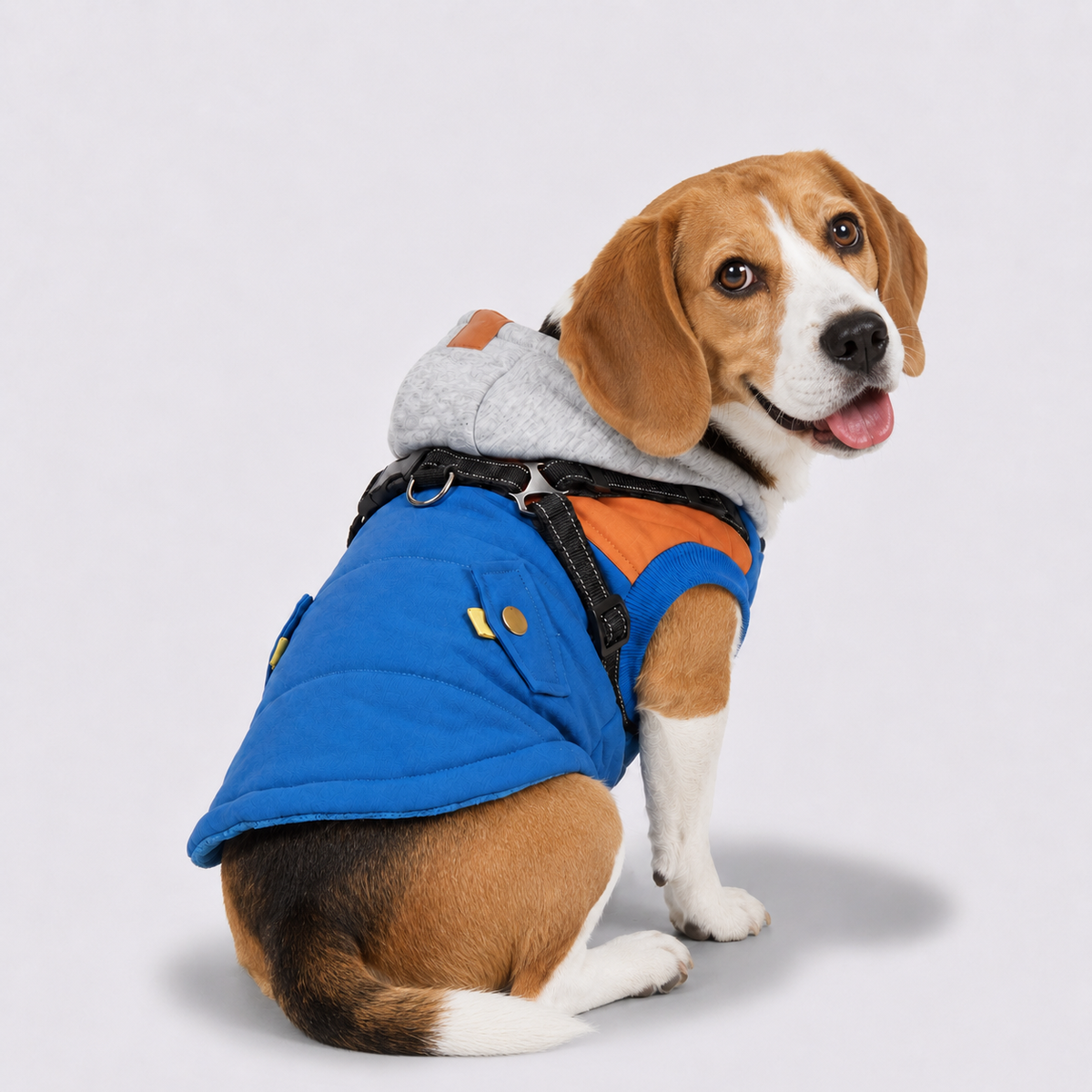 Reflective-Dog-Winter-Coat.jpg