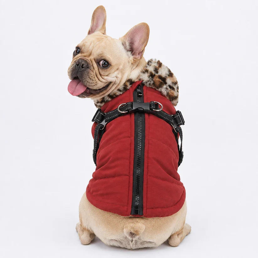 Reflective-Dog-Winter-Coat.jpg