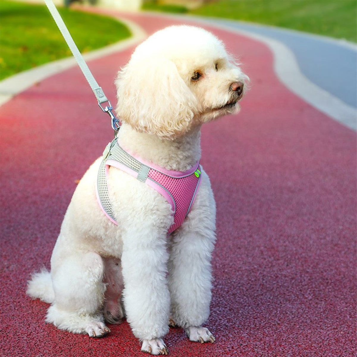 Reflective-Mesh-Dog-Harness-Leash-Set.jpg