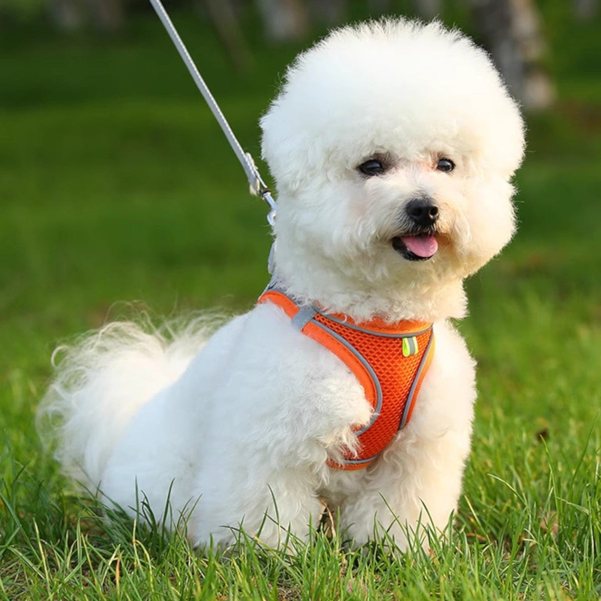 Reflective-Mesh-Dog-Harness-Leash-Set.jpg