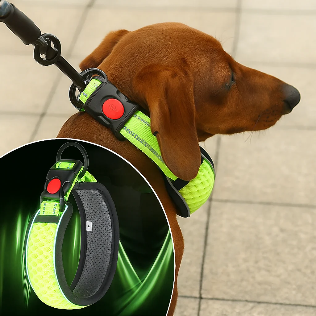 Reflective-No-Pull-Dog-Collar.jpg