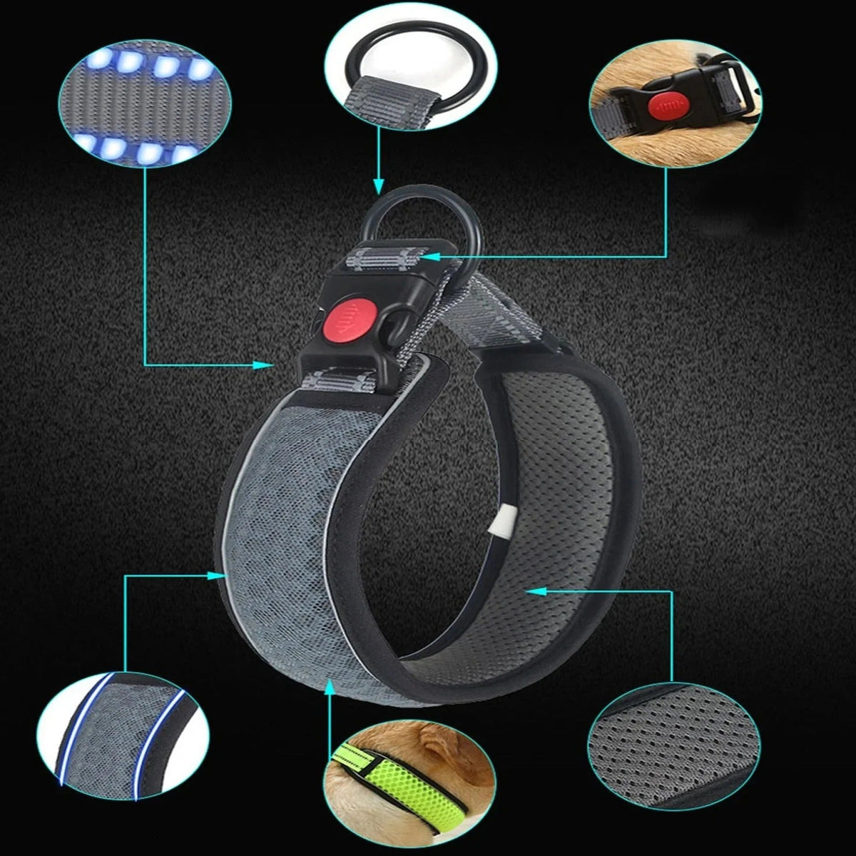Reflective-No-Pull-Dog-Collar.jpg