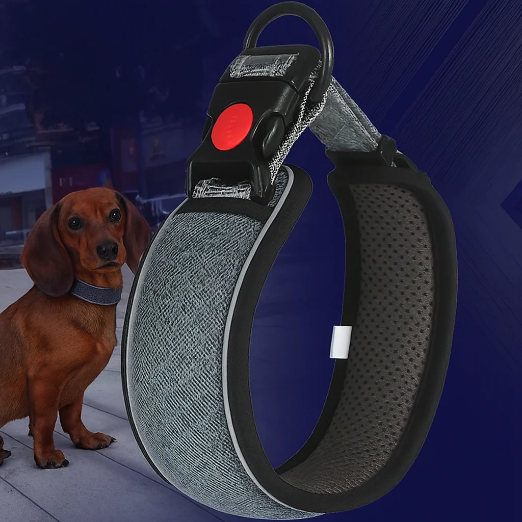Reflective-No-Pull-Dog-Collar.jpg
