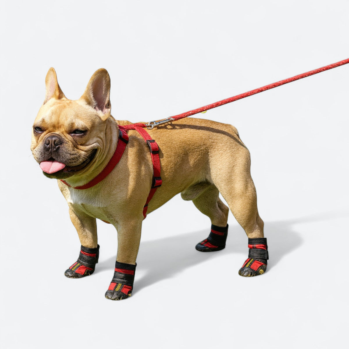 Reflective-Outdoor-Anti-Slip-Dog-Boots.jpg