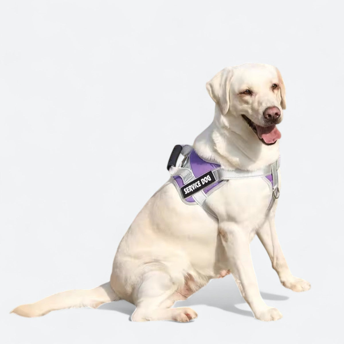 Reflective-Service-Dog-Harness-Leash-Set.jpg