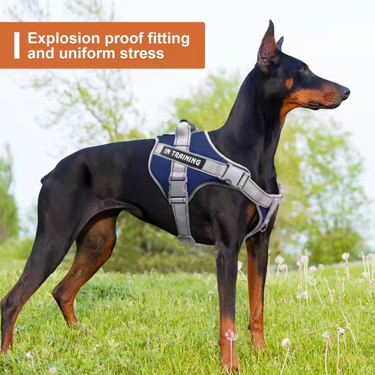 Reflective-Service-Dog-Harness-Leash-Set.jpg