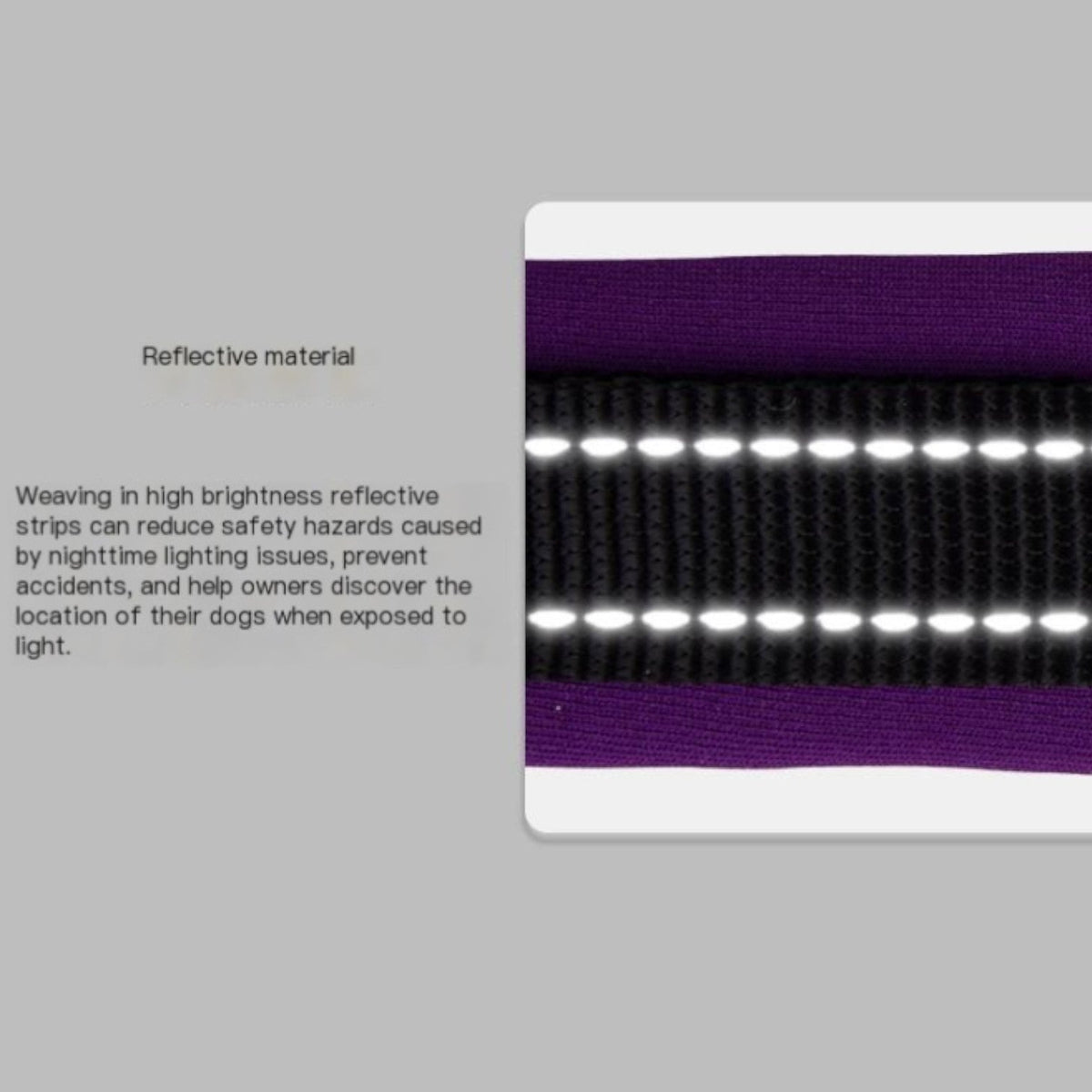 Reflective-Soft-Padded-Dog-Collar.jpg