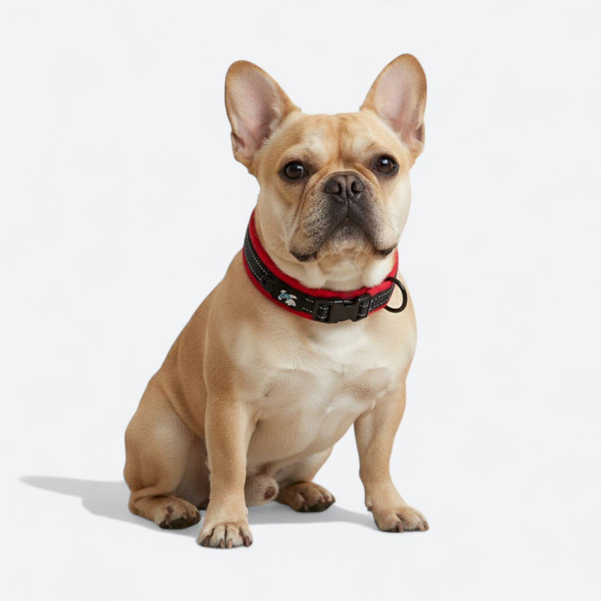 Reflective-Soft-Padded-Dog-Collar.jpg