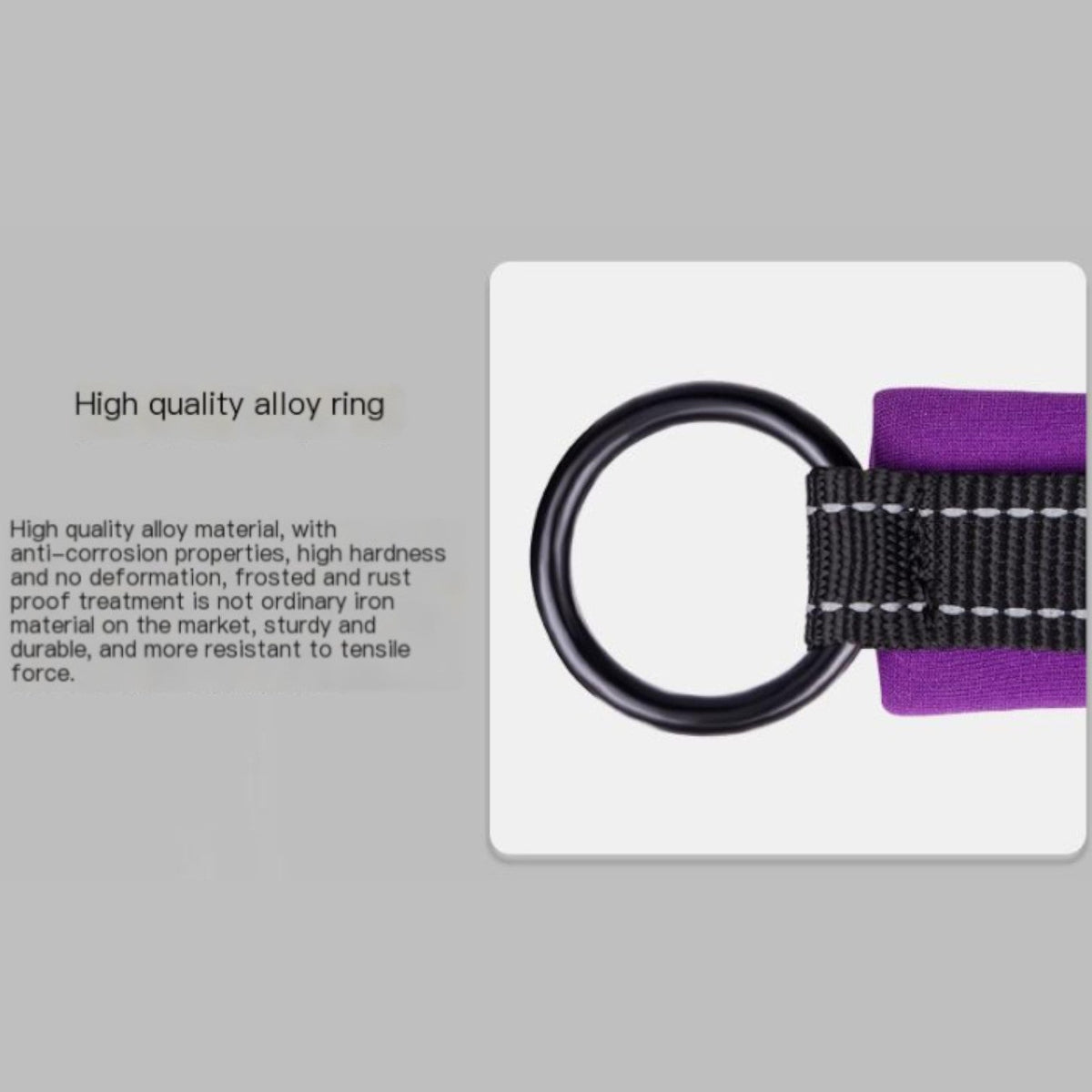 Reflective-Soft-Padded-Dog-Collar.jpg
