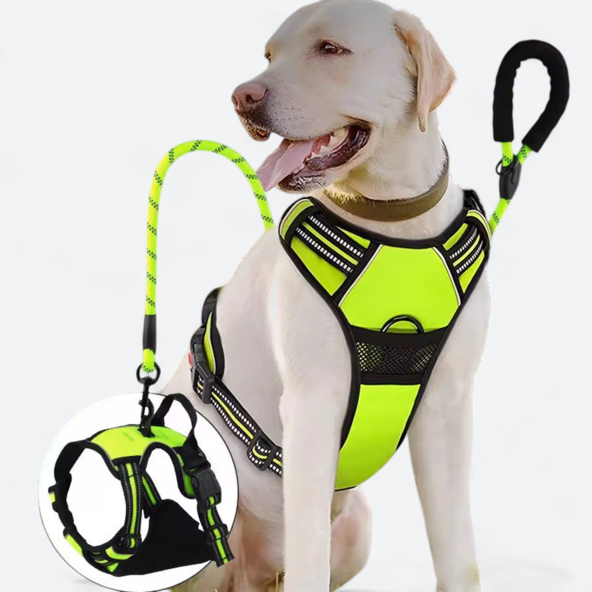 Reflective-Training-Dog-Harness-Leash-Set.jpg