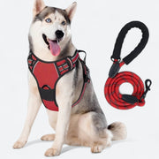 Reflective training dog harness and leash set
